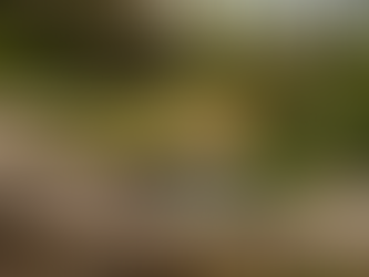 Course de Côte du Col Saint-Pierre : le Proto JAD LW01 CM et Lionel Jacob en tête samedi