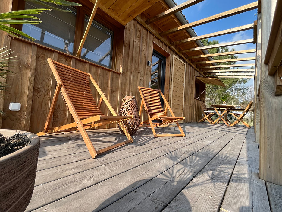 courlis-terrasse.jpg