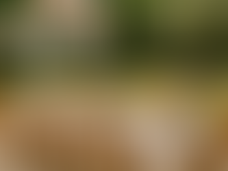 Couleurs tendances mariage 2026 : inspirations et harmonies pour un jour unique