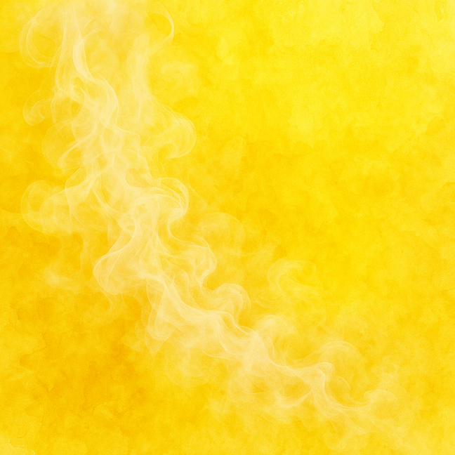 56ed8763-cedd-4f74-9159-8c4db1659150.png