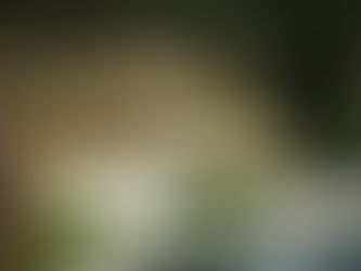 JAD AUTOMOTIVE lance parfaitement sa saison 2026 au Col Saint-Pierre en CM