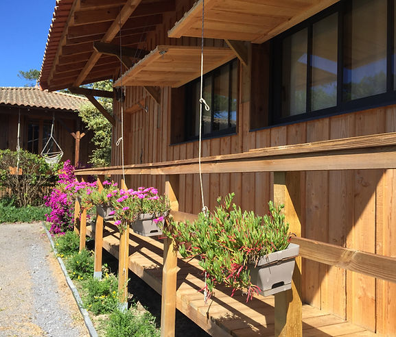 Séjours en bord de mer à Montalivet : location de chalets cosy, gîtes de charme et chambres d'hôtes entre forêt du Médoc et o