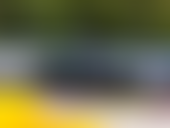 Trophées Mitjet 2L 2024 : Dijon-Prenois théâtre des premiers sacres