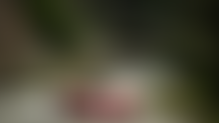 Course de côte Abreschviller – Saint Quirin 2026 : Présentation