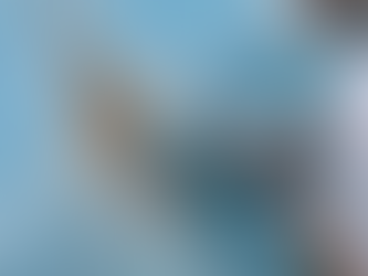 Réparation fissure piscine coque Var : le guide technique complet