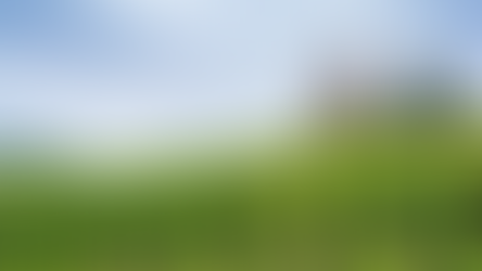 Est-il utile de faire appel à une agence SEO pour référencer un domaine viticole ?