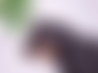 Apaiser les douleurs de son chien grâce au CBD ?