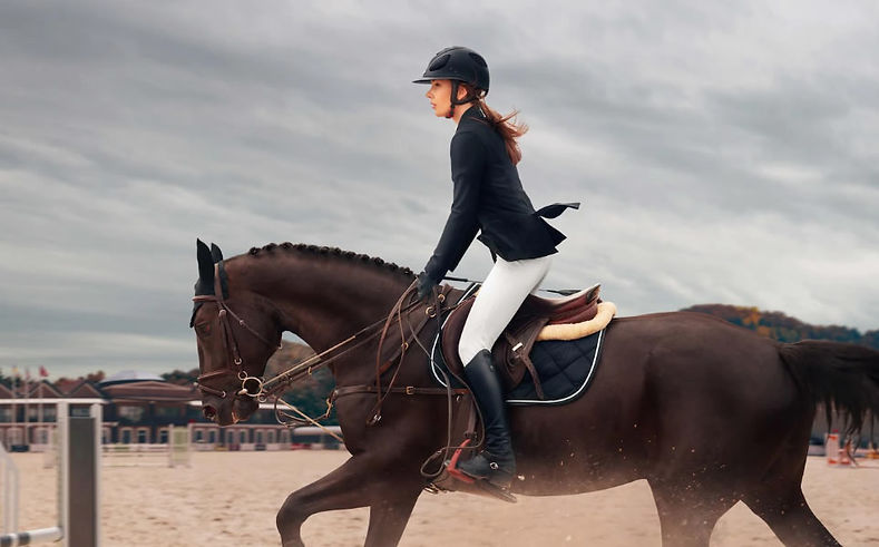 Centre Équestre des Dunes, balades à cheval sur la plage, cours d'équitation, baptêmes poney dès 2 ans à Erdeven. Pension che