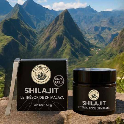 product-shilajit-CKdVIF2w.jpg