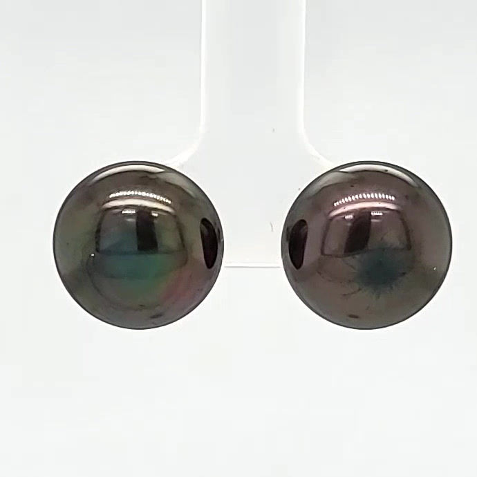 Tahitian Pearl & 9ct Gold Earrings