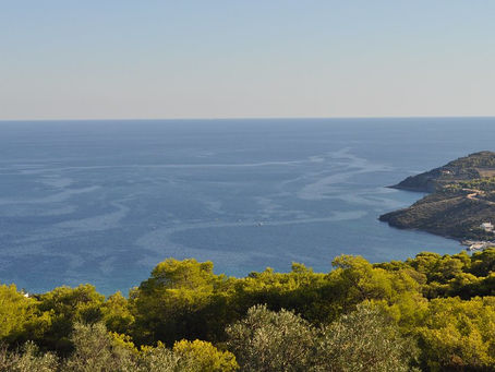 Agia Marina: Where the pines meet the sea in Aegina