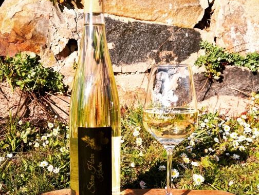 En vinflaska och glas med vin i, vitt
