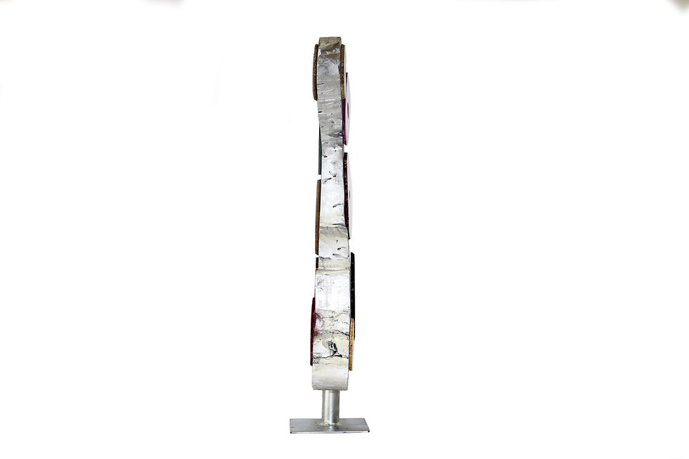 Miniatura: Rastro Celestial