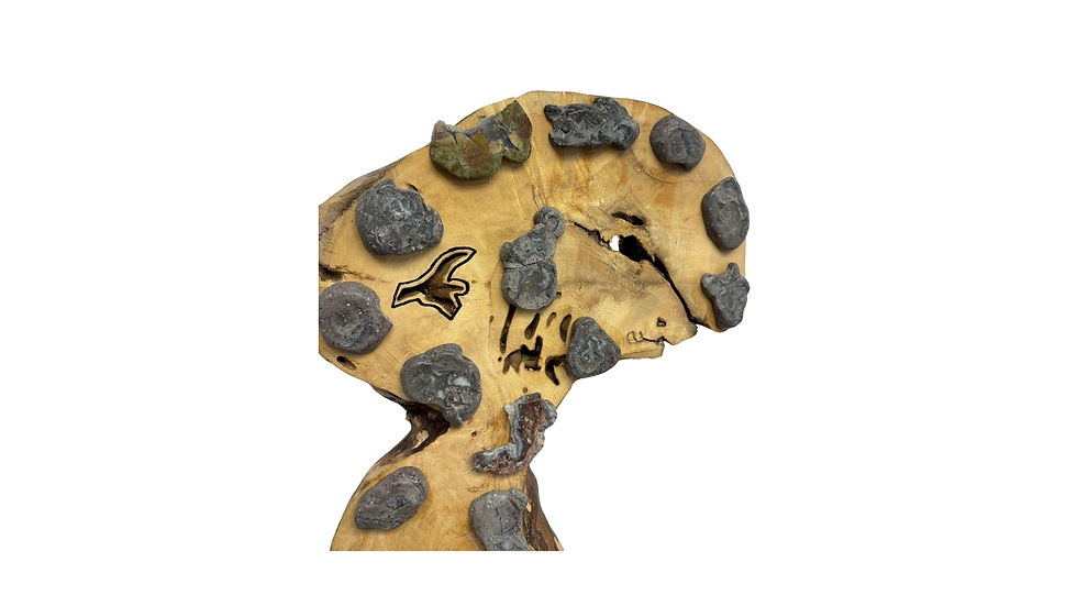 Miniatura: Cimarrón