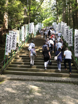 2018-07-12%2009.08_edited