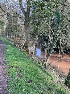 Canal Photo 4 - Martin.jpeg