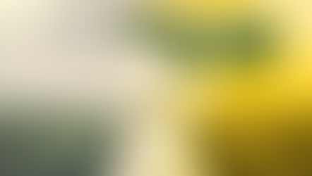 Good News for September 17, 2025