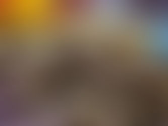 Kurkuma (Curcuma longa)