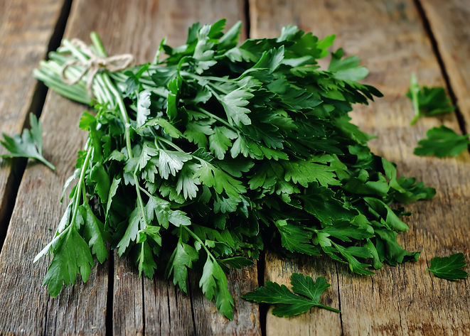 schnittlauch, petersilie, heilpflanze, heilpflanze, pflanzenheilkunde, homöopathisch