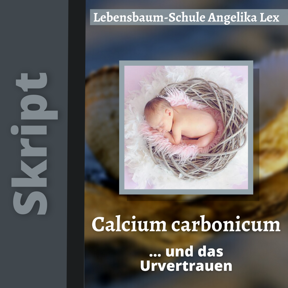 Calcium carbonicum (Skript)