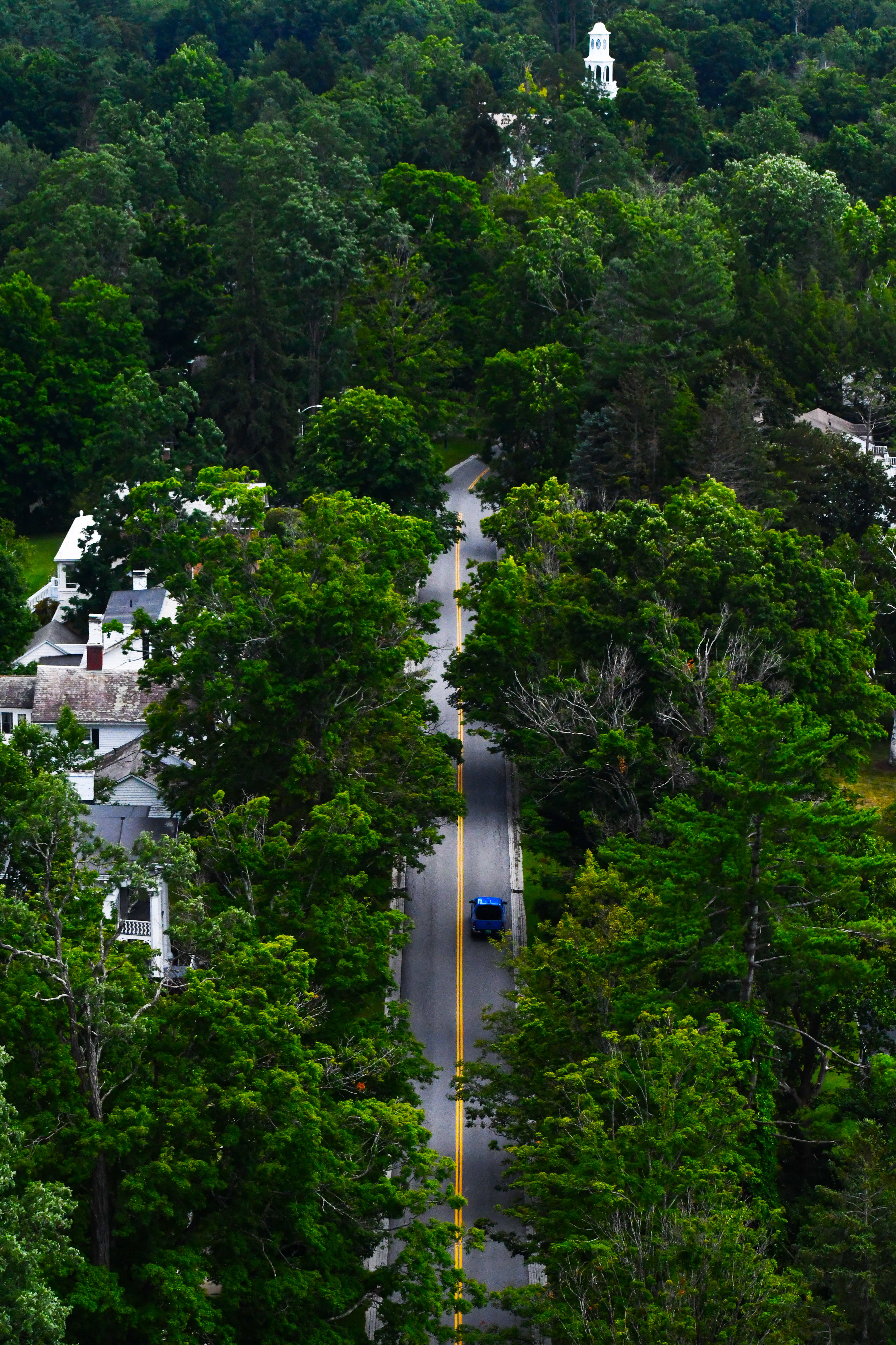 Suburbia_4