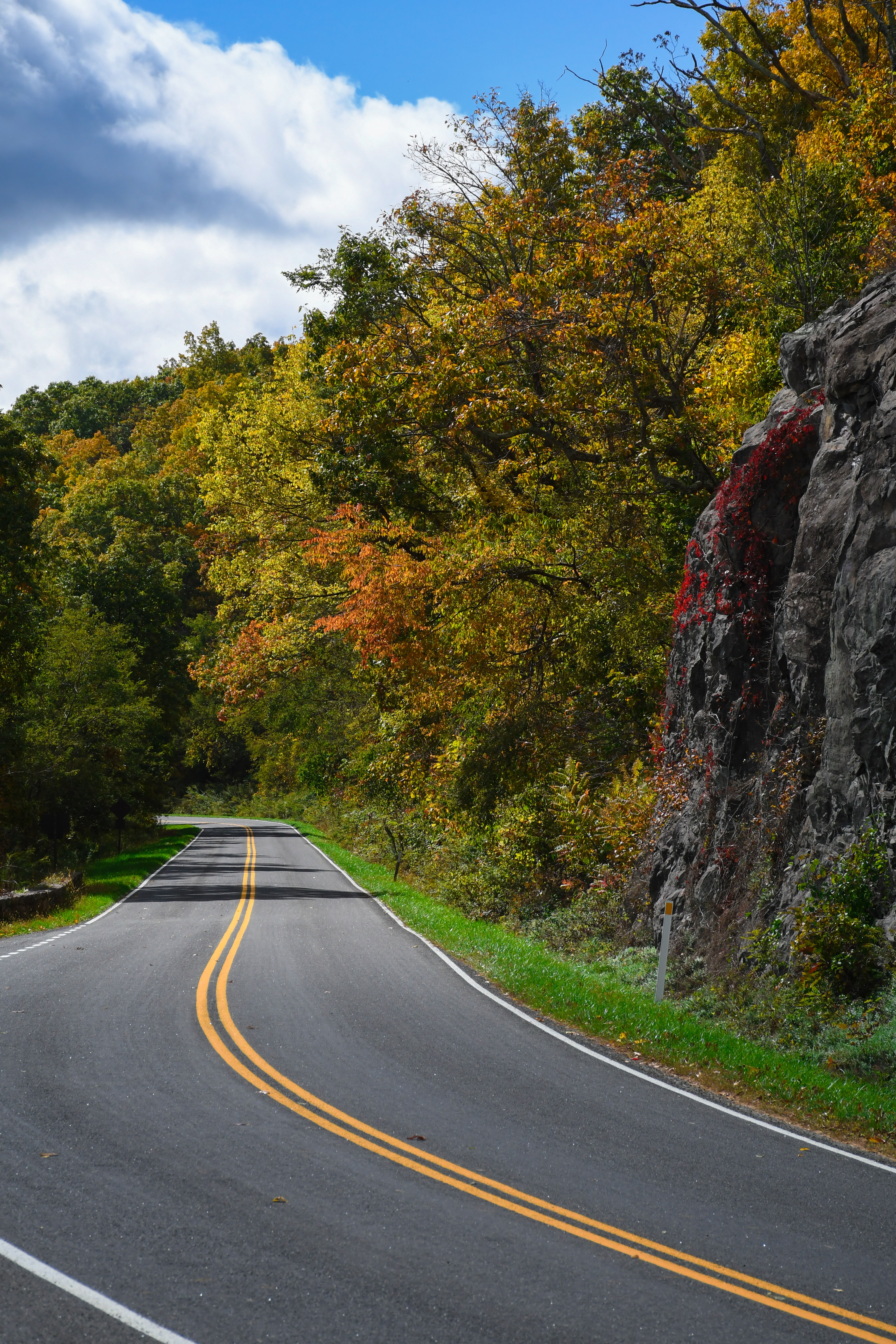 ShenandoahLandscape_2