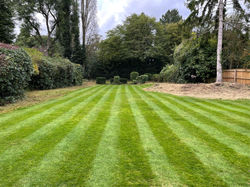 Lawn Mowing Solihull Town Centre