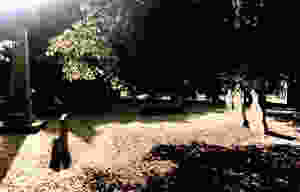 fullsizeoutput_557.jpeg