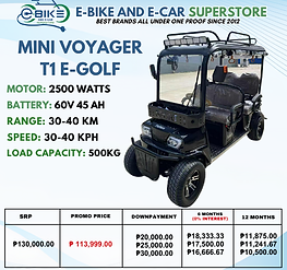 MINI VOYAGER T1 E GOLF NEW 1104- (1).png