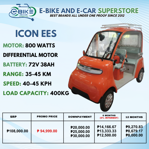 ICON EES (THROTTLE AND STEERING WHEEL)