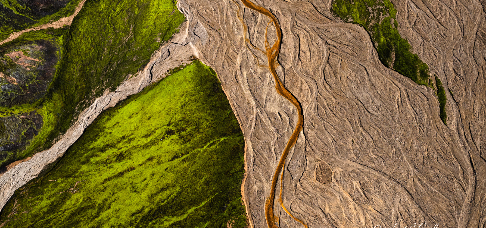 Veins of the Earth by Emily McCulliss