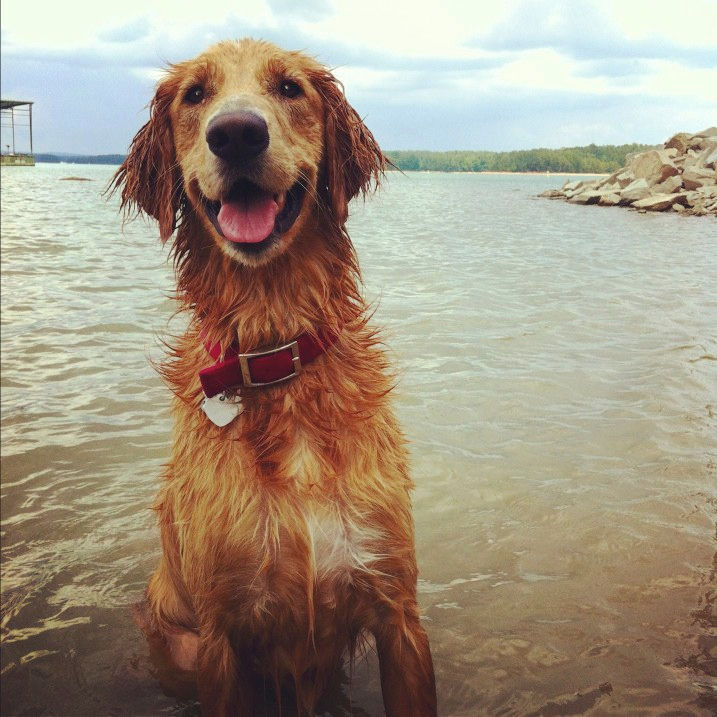 Bailey