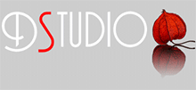 LOGO-DSTUDIO-REFLET-ANIMATION101.gif