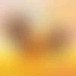 Thanksgiving. Harvest festival. Turkey. Chris Saunders.