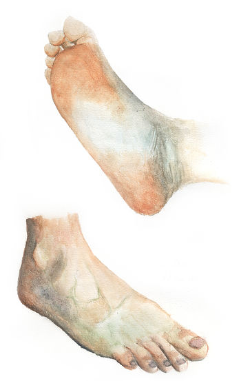 Pied.jpg