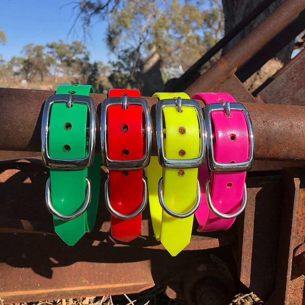 Thumbnail: Medium Jenna Working Dog Collar