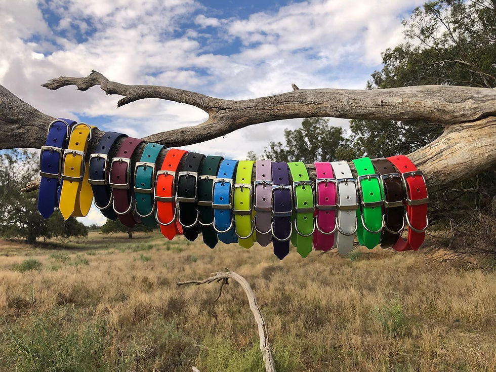 Thumbnail: Ring Ute Tie