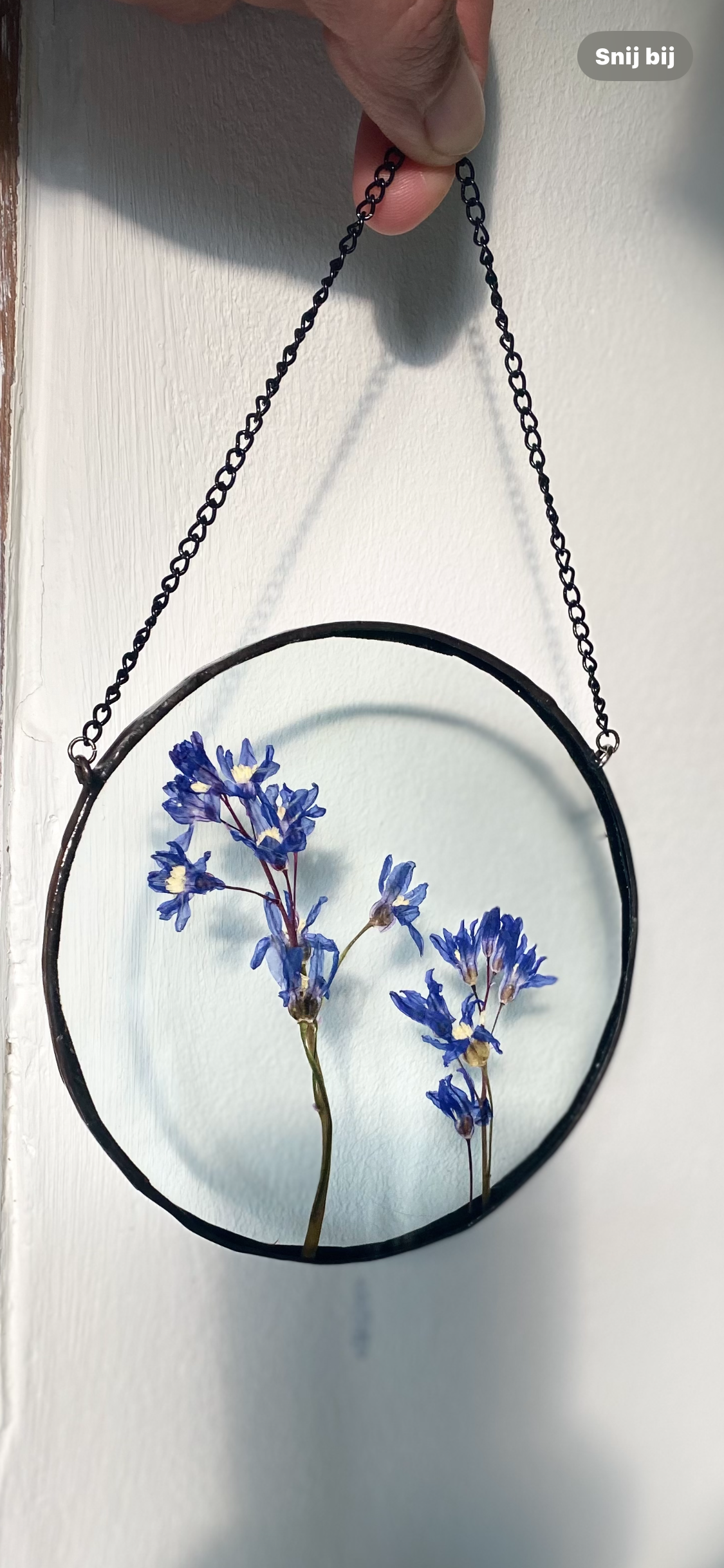 Grote sneeuwroem rond