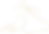 coffee-bg-3-1-e1592389838494.png.png
