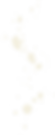 coffee-bg-3-e1592385684436.png.png