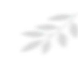 rs-layer-wrap → rs-loop-wrap → rs-mask-wrap → rs-layer → revslider_decor.png (8)