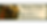 footer 3.png
