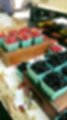 The Berry Best
