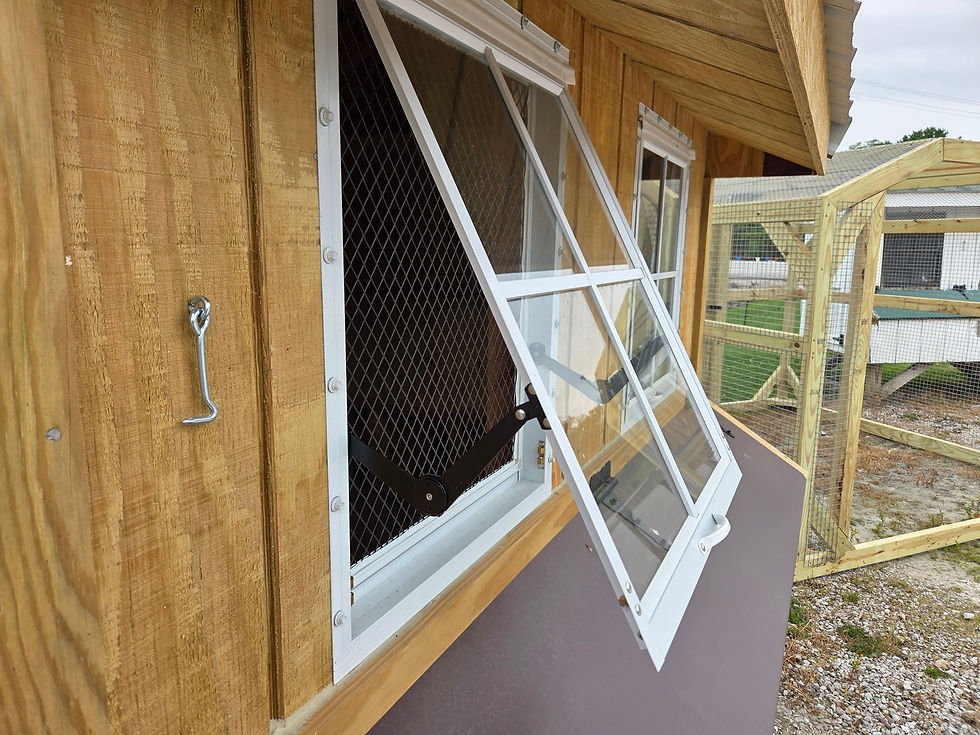 Thumbnail: 8 X 6 Chicken Coop
