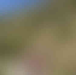 cyclists riding up mountain