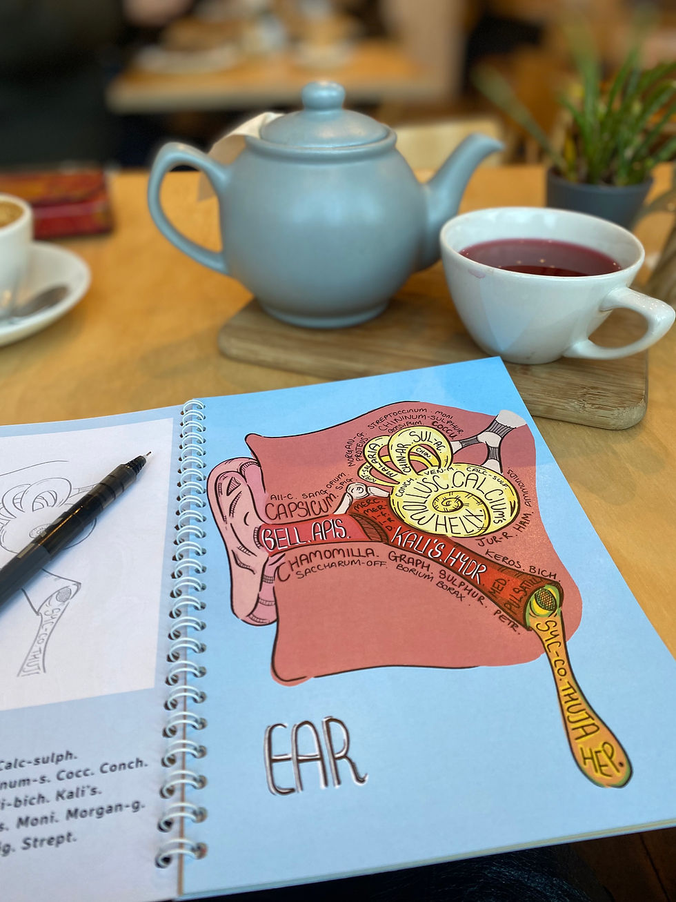 Thumbnail: E-book // Homeopathic Organ Affinities - illustrative workbook