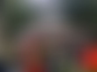 Mein Beitrag bei der Ellis Sotheby’s Auktion!