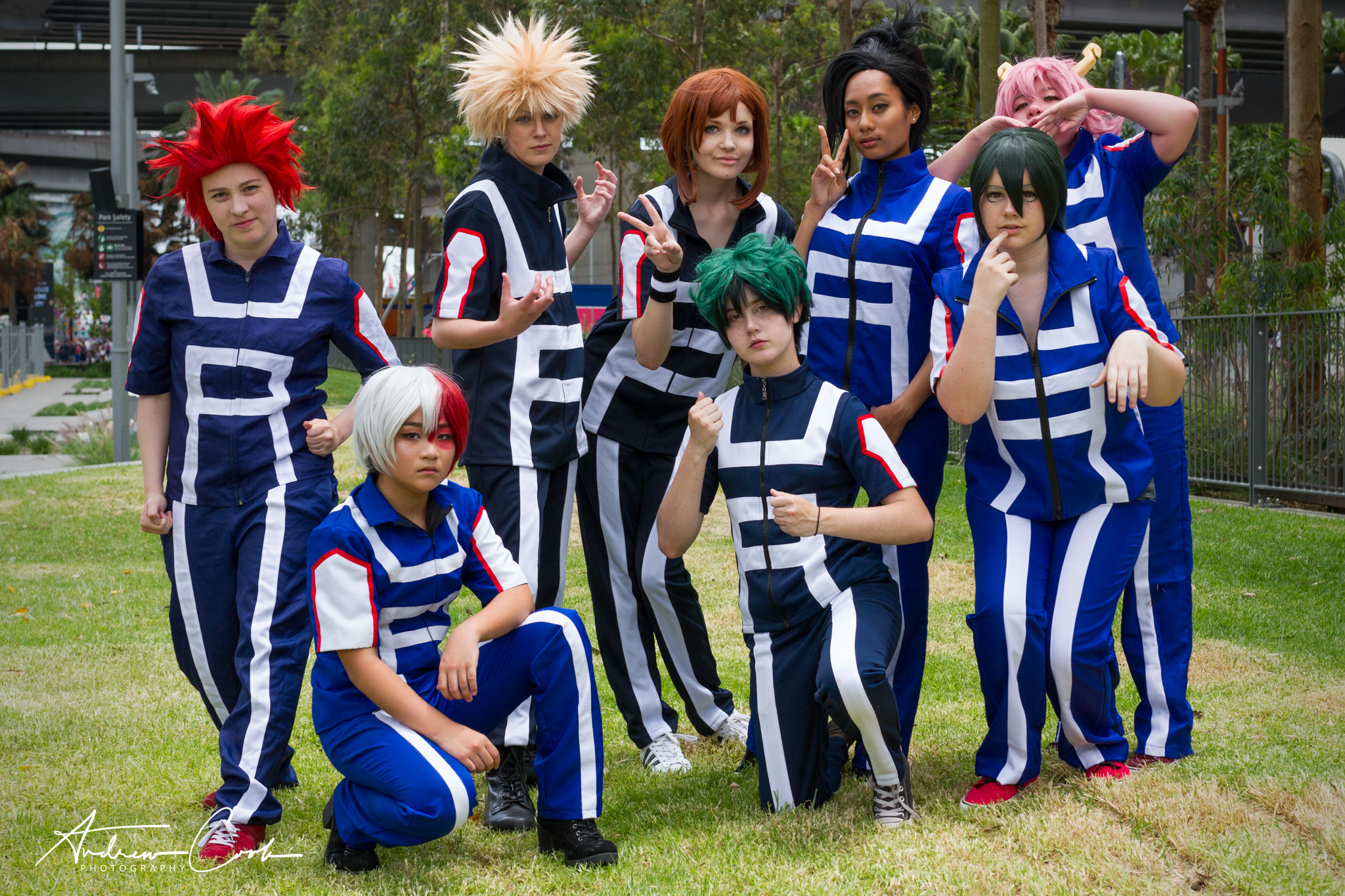 ANIME PANEL
