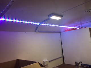And we have light...