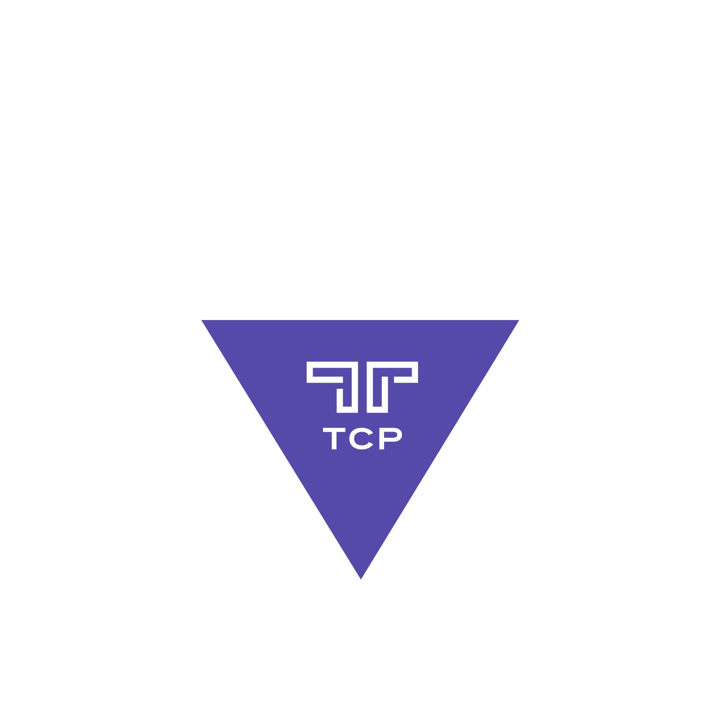 Strategic Private Equity Firm | Traub Capital Partners | United States, image size:1440x1440